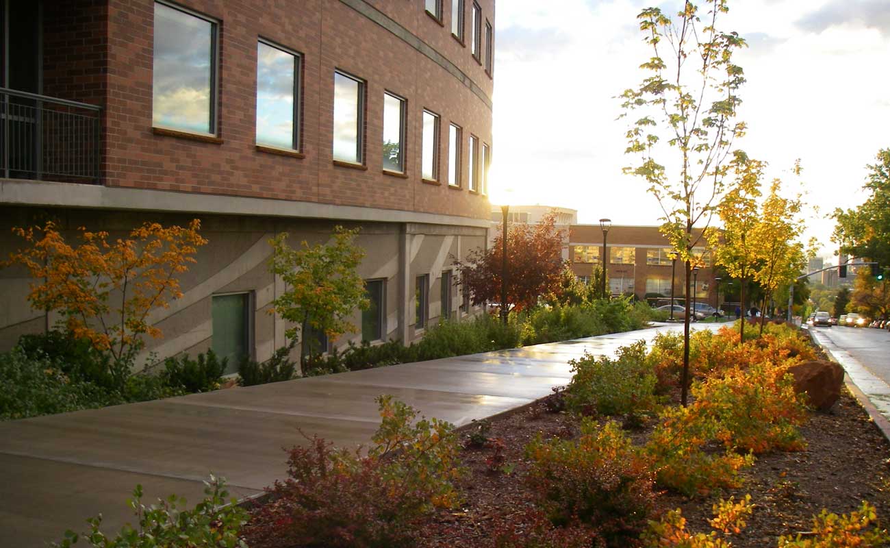 Sutton Geology Building