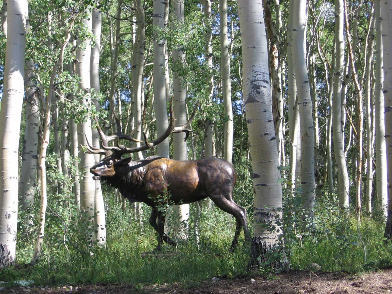 Wolfcreek Ranch, 160 Acre Estate
